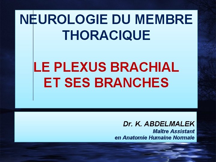 NEUROLOGIE DU MEMBRE THORACIQUE LE PLEXUS BRACHIAL ET SES BRANCHES Dr. K. ABDELMALEK Maître