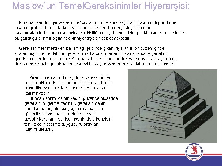 Maslow’un Temel. Gereksinimler Hiyerarşisi: Maslow “kendini gerçekleştirme”kavramını öne sürerek, ortam uygun olduğunda her insanın