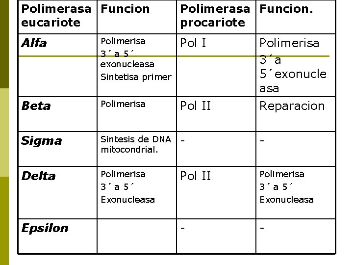 Polimerasa Funcion eucariote Polimerasa Funcion. procariote Alfa Polimerisa 3´ a 5´ exonucleasa Sintetisa primer
