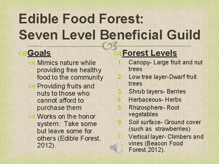 Edible Food Forest: Seven Level Beneficial Guild Goals Forest Levels Mimics nature while providing