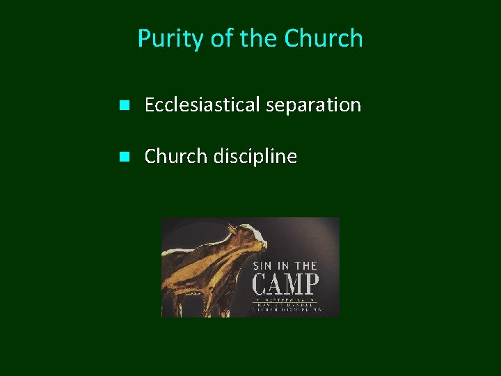Purity of the Church n Ecclesiastical separation n Church discipline 