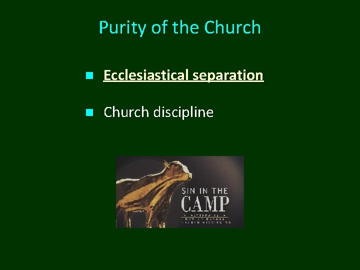 Purity of the Church n Ecclesiastical separation n Church discipline 