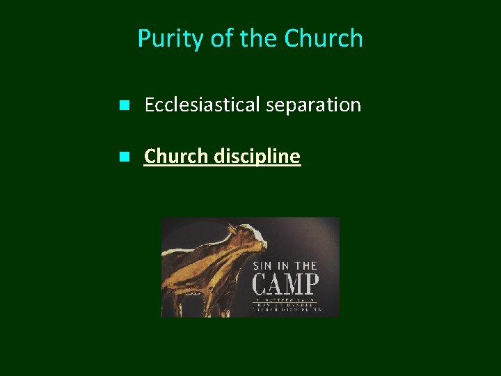 Purity of the Church n Ecclesiastical separation n Church discipline 