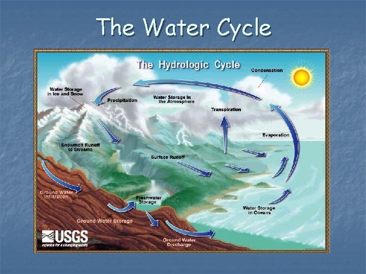 The Water Cycle 