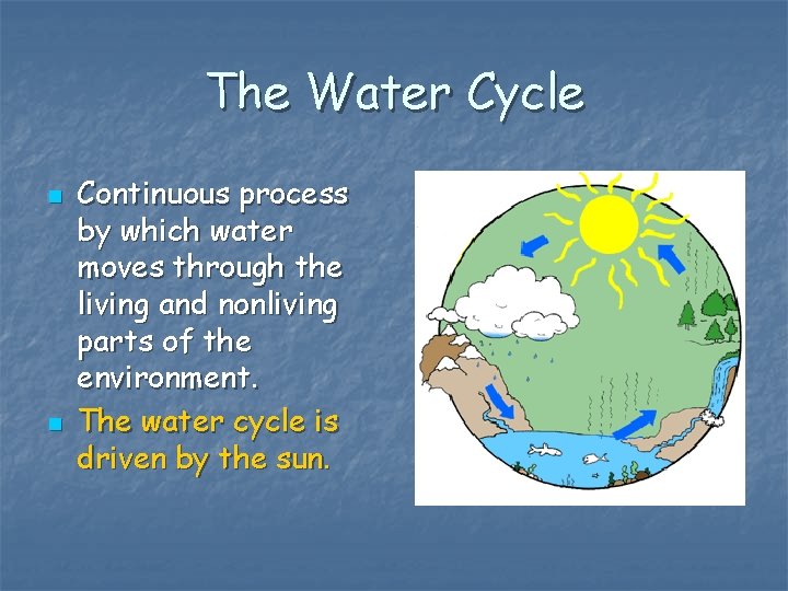 The Water Cycle n n Continuous process by which water moves through the living