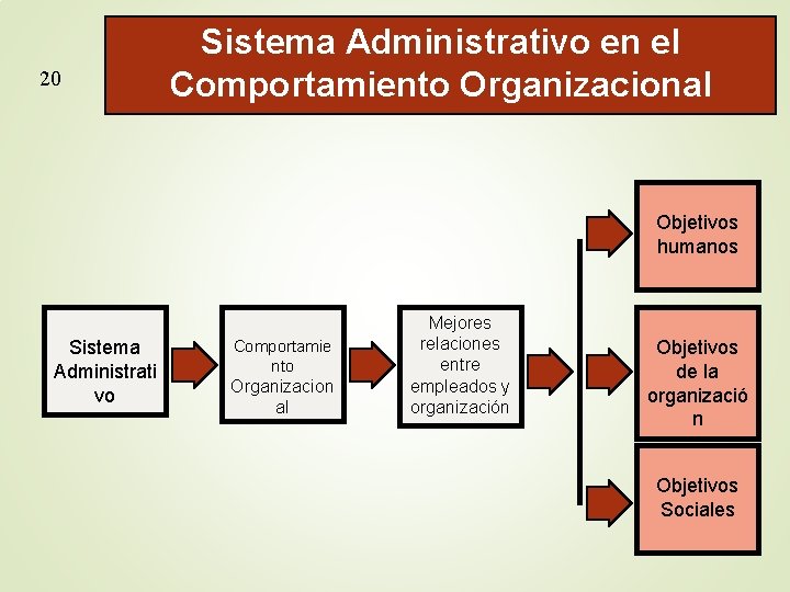 20 Sistema Administrativo en el Comportamiento Organizacional Objetivos humanos Sistema Administrati vo Comportamie nto
