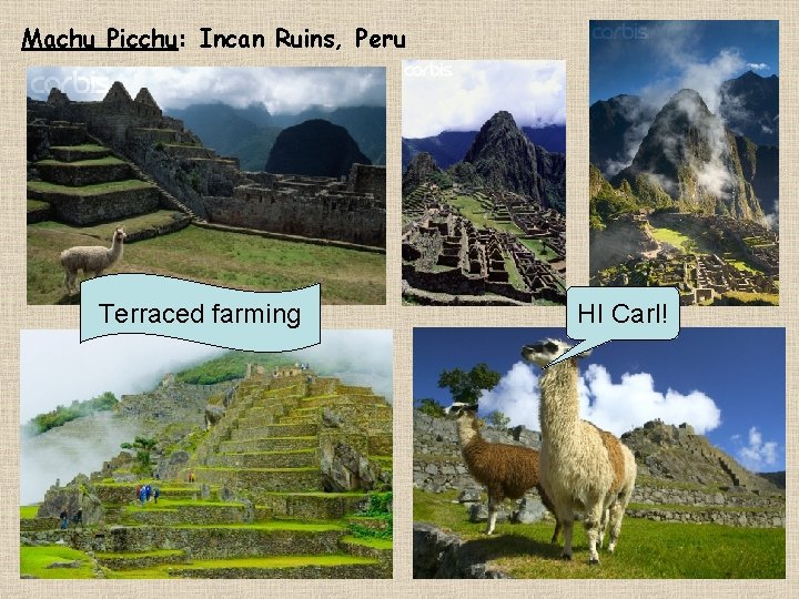 Machu Picchu: Incan Ruins, Peru Terraced farming: farming HI Carl! 