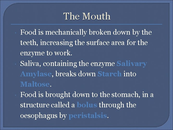 The Mouth Food is mechanically broken down by the teeth, increasing the surface area