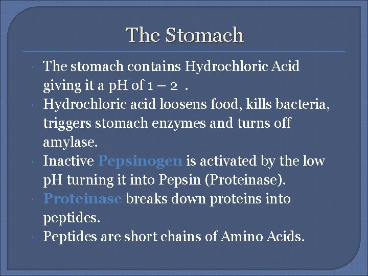 The Stomach The stomach contains Hydrochloric Acid giving it a p. H of 1