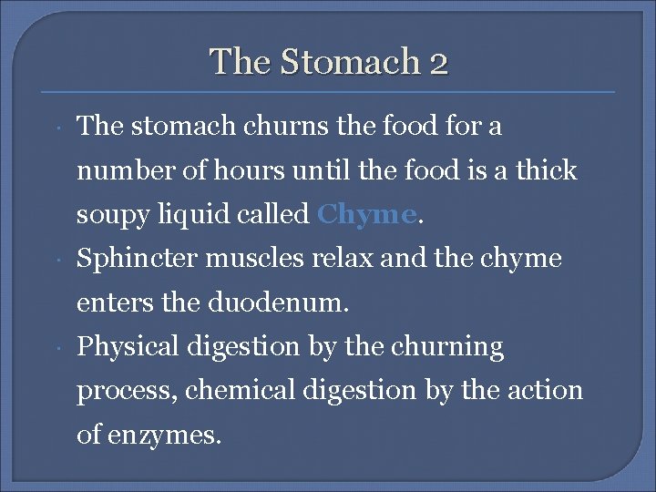 The Stomach 2 The stomach churns the food for a number of hours until