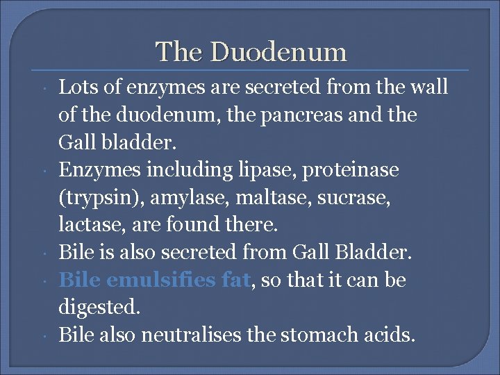 The Duodenum Lots of enzymes are secreted from the wall of the duodenum, the