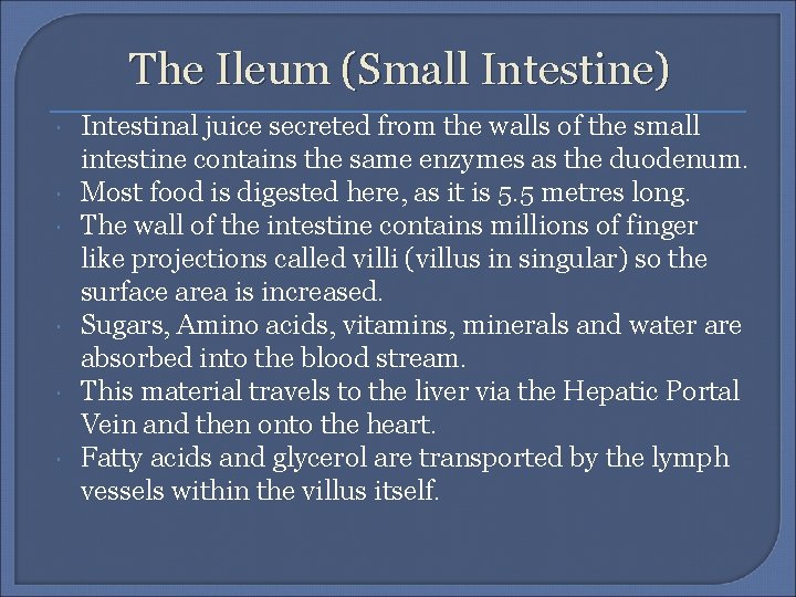 The Ileum (Small Intestine) Intestinal juice secreted from the walls of the small intestine