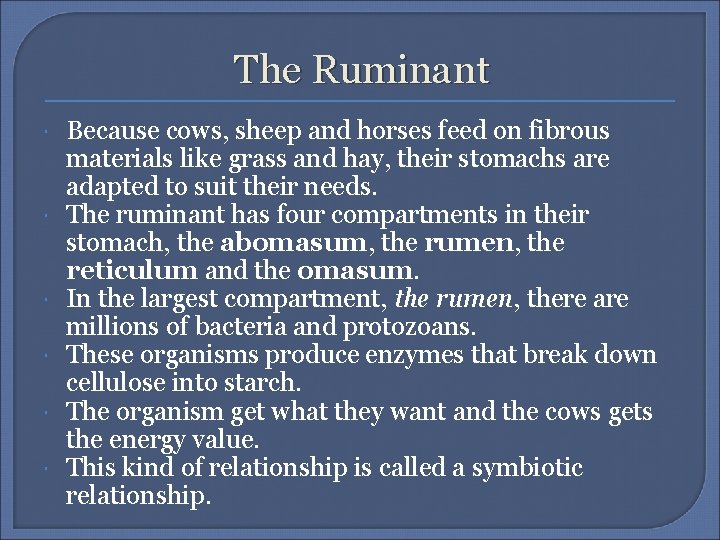 The Ruminant Because cows, sheep and horses feed on fibrous materials like grass and