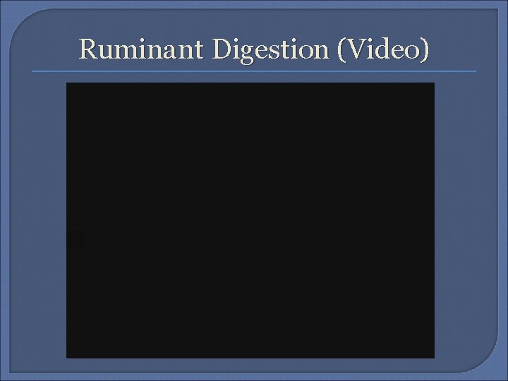 Ruminant Digestion (Video) 