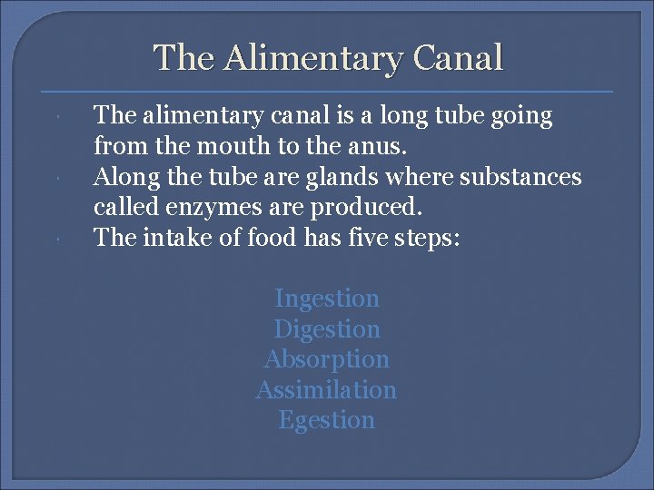 The Alimentary Canal The alimentary canal is a long tube going from the mouth