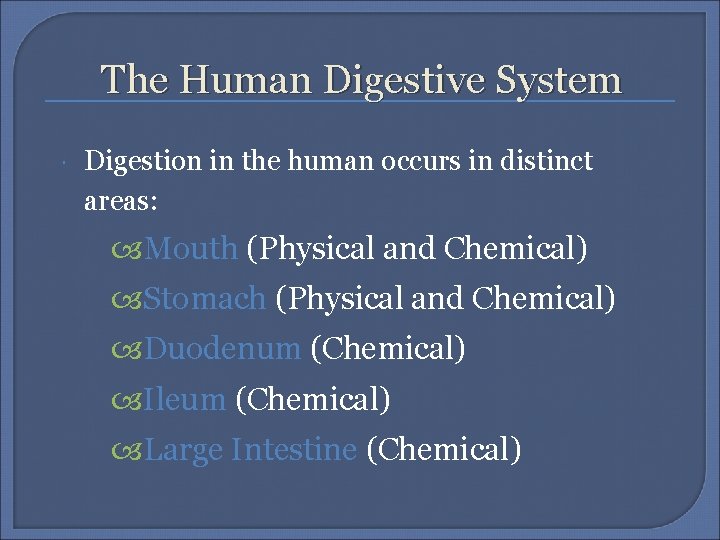 The Human Digestive System Digestion in the human occurs in distinct areas: Mouth (Physical