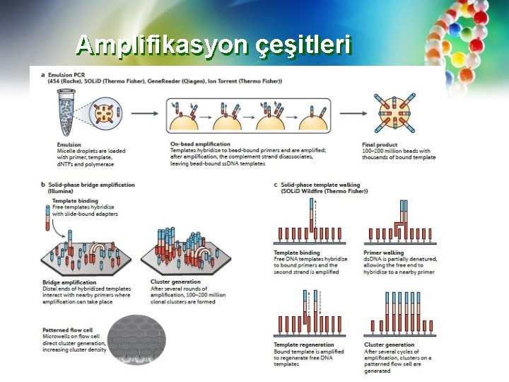 Amplifikasyon çeşitleri 