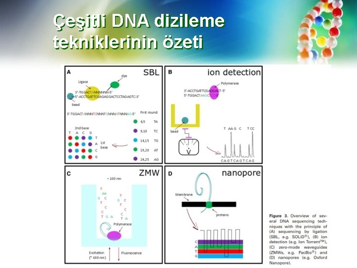 Çeşitli DNA dizileme tekniklerinin özeti 