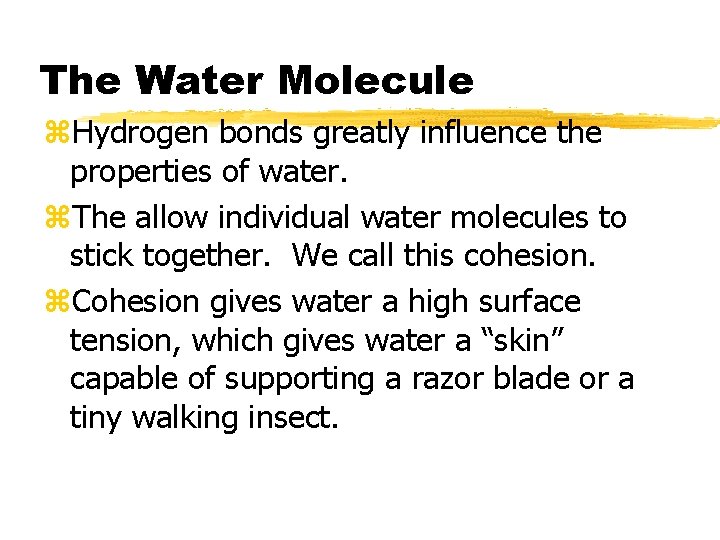 The Water Molecule z. Hydrogen bonds greatly influence the properties of water. z. The