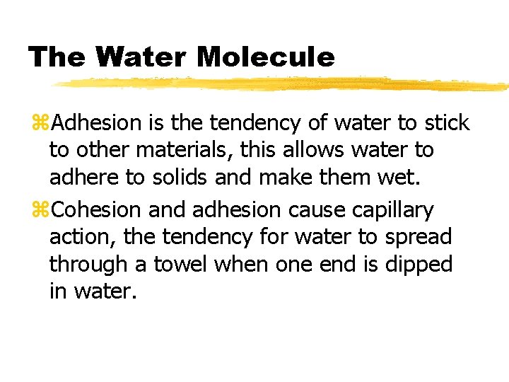 The Water Molecule z. Adhesion is the tendency of water to stick to other