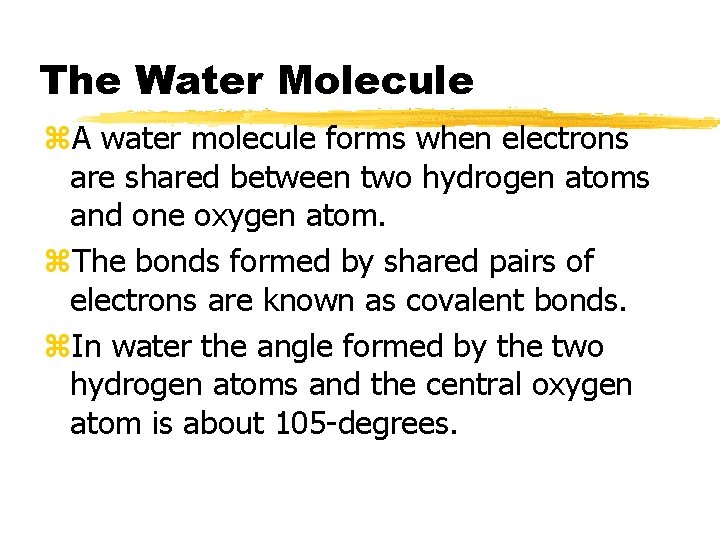 The Water Molecule z. A water molecule forms when electrons are shared between two