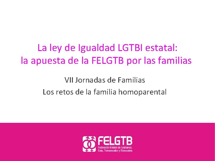 La ley de Igualdad LGTBI estatal: la apuesta de la FELGTB por las familias