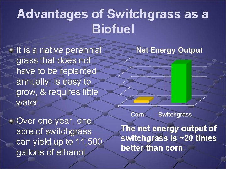 Advantages of Switchgrass as a Biofuel It is a native perennial grass that does Advantages of Switchgrass as a Biofuel It is a native perennial grass that does