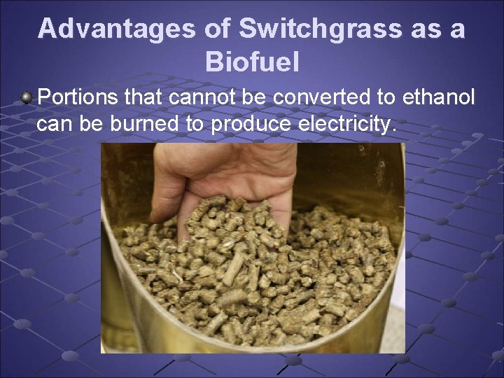 Advantages of Switchgrass as a Biofuel Portions that cannot be converted to ethanol can Advantages of Switchgrass as a Biofuel Portions that cannot be converted to ethanol can