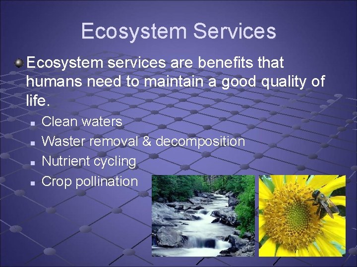 Ecosystem Services Ecosystem services are benefits that humans need to maintain a good quality Ecosystem Services Ecosystem services are benefits that humans need to maintain a good quality