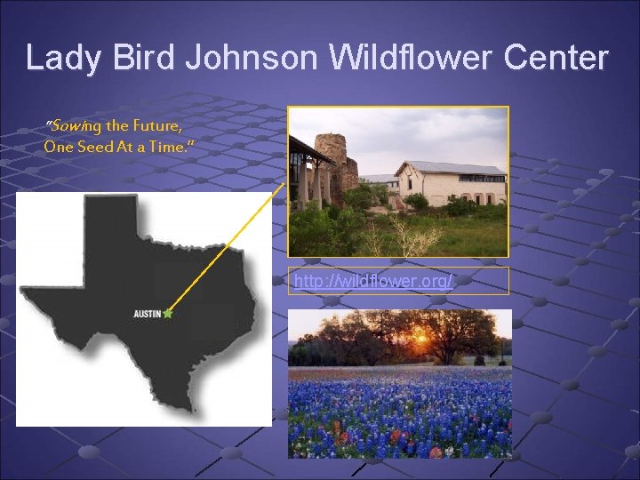 Lady Bird Johnson Wildflower Center “Sowing the Future, One Seed At a Time. ” Lady Bird Johnson Wildflower Center “Sowing the Future, One Seed At a Time. ”