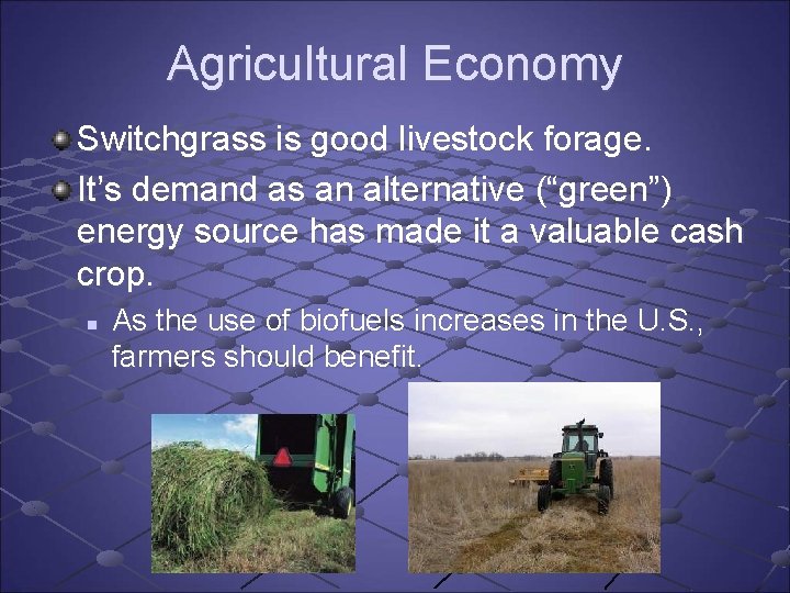 Agricultural Economy Switchgrass is good livestock forage. It’s demand as an alternative (“green”) energy Agricultural Economy Switchgrass is good livestock forage. It’s demand as an alternative (“green”) energy