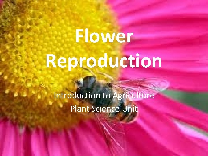 Flower Reproduction Introduction to Agriculture Plant Science Unit 
