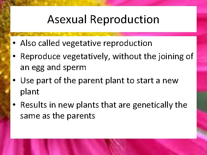 Asexual Reproduction • Also called vegetative reproduction • Reproduce vegetatively, without the joining of