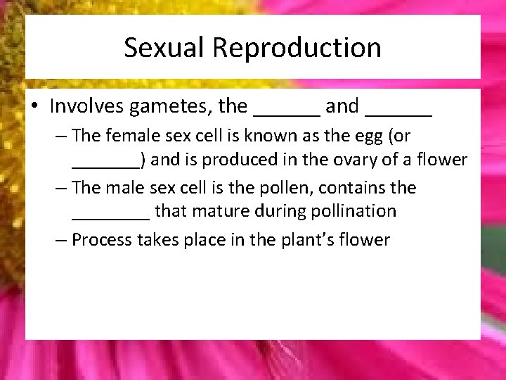 Sexual Reproduction • Involves gametes, the ______ and ______ – The female sex cell