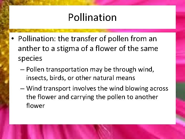Pollination • Pollination: the transfer of pollen from an anther to a stigma of