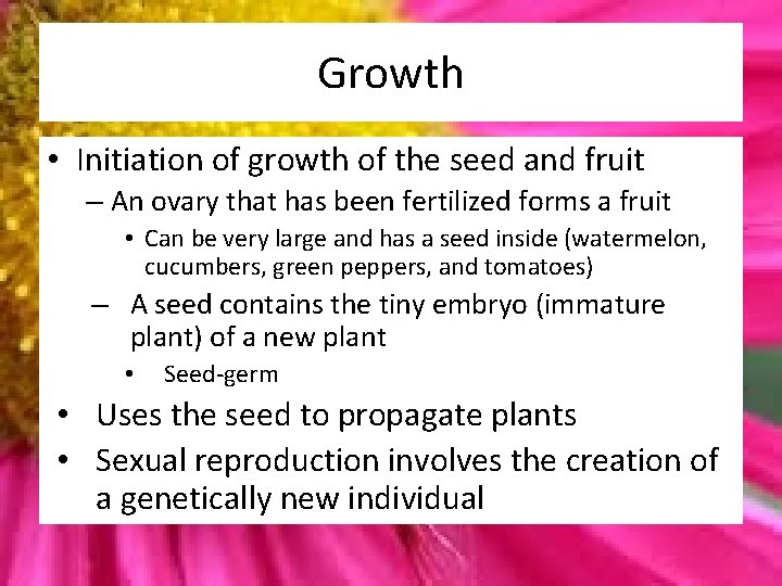 Growth • Initiation of growth of the seed and fruit – An ovary that