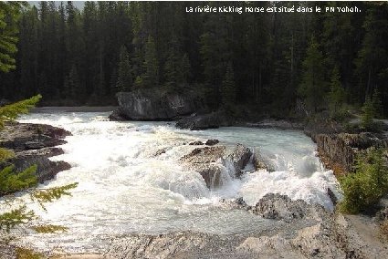 La rivière Kicking Horse est situé dans le PN Yohoh. 