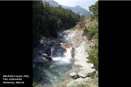 Blackiston Upper Falls, Parc national de Waterton, Alberta 