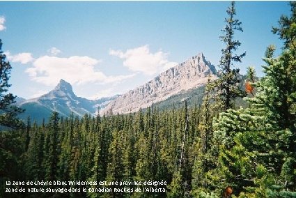 La zone de chèvre blanc Wilderness est une province désignée zone de nature sauvage