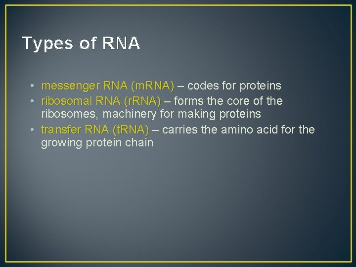 Types of RNA • messenger RNA (m. RNA) – codes for proteins • ribosomal