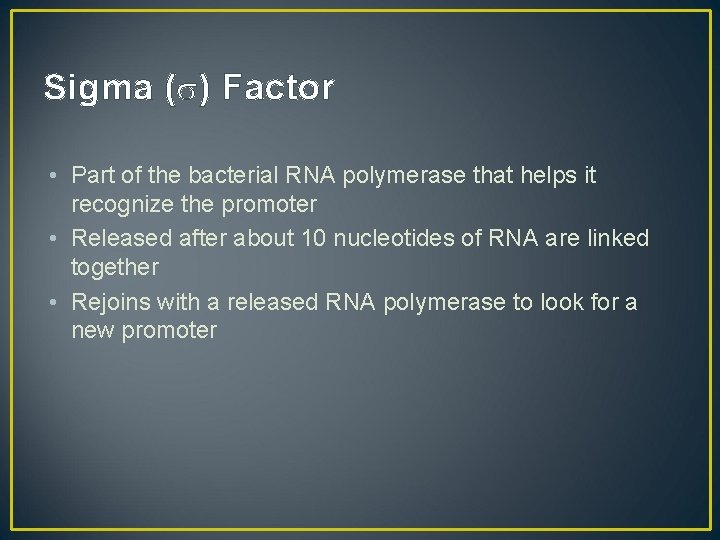 Sigma ( ) Factor • Part of the bacterial RNA polymerase that helps it