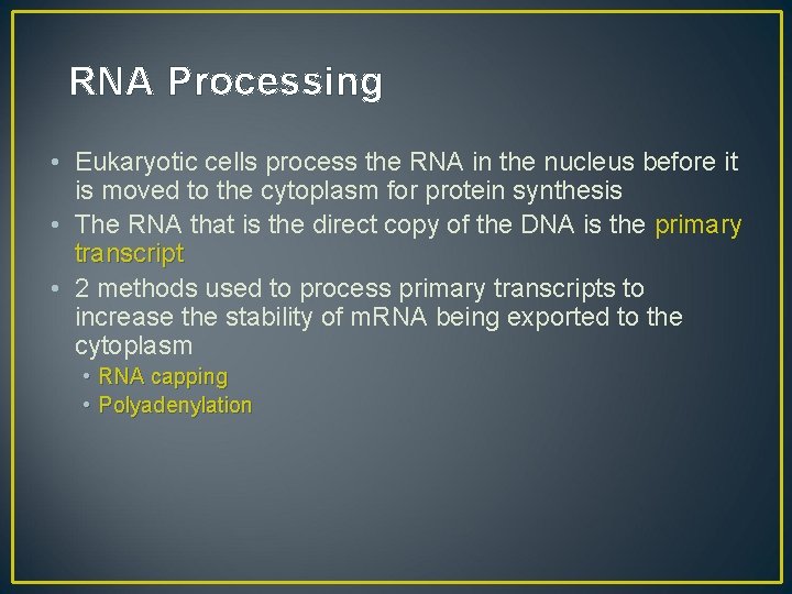 RNA Processing • Eukaryotic cells process the RNA in the nucleus before it is