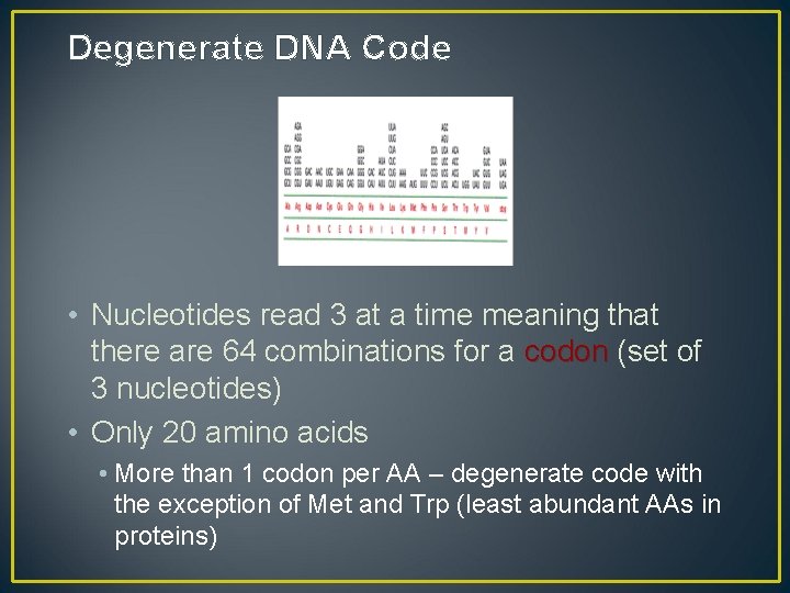 Degenerate DNA Code • Nucleotides read 3 at a time meaning that there are