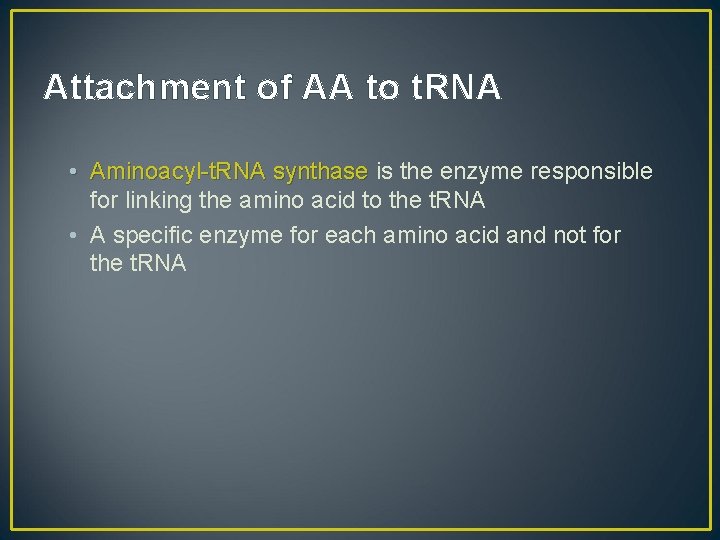 Attachment of AA to t. RNA • Aminoacyl-t. RNA synthase is the enzyme responsible