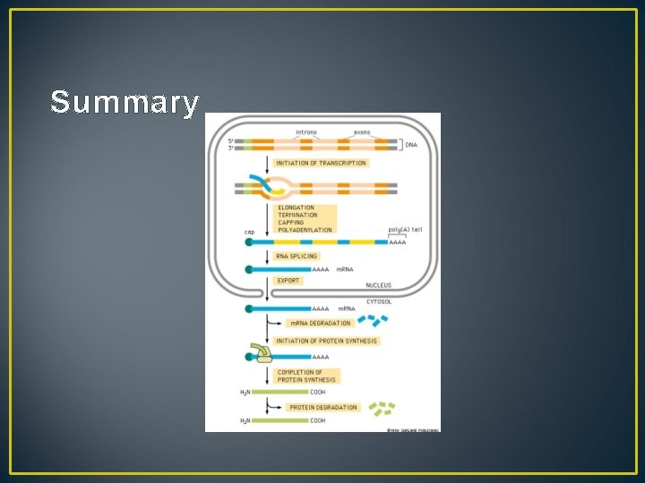 Summary 
