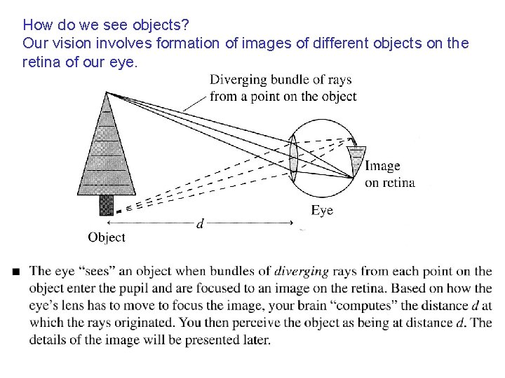 How do we see objects? Our vision involves formation of images of different objects