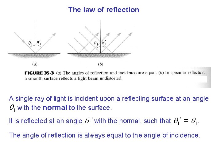 The law of reflection A single ray of light is incident upon a reflecting