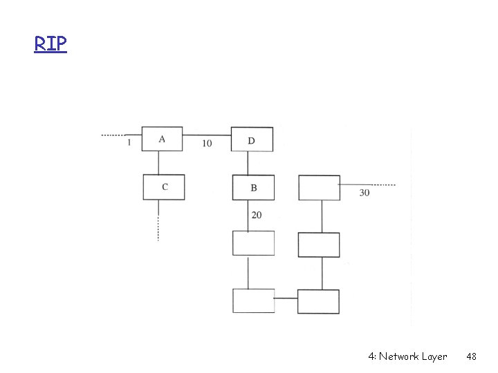 RIP 4: Network Layer 48 