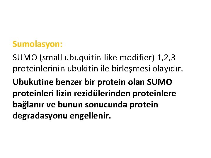 Sumolasyon: SUMO (small ubuquitin-like modifier) 1, 2, 3 proteinlerinin ubukitin ile birleşmesi olayıdır. Ubukutine