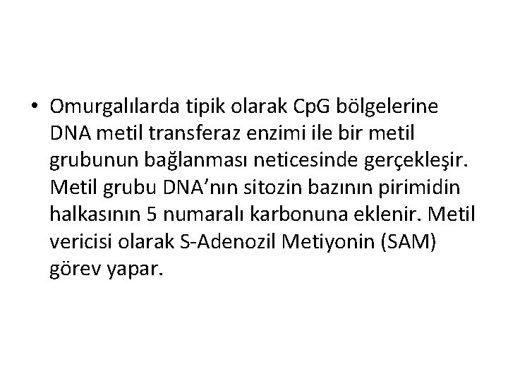  • Omurgalılarda tipik olarak Cp. G bölgelerine DNA metil transferaz enzimi ile bir